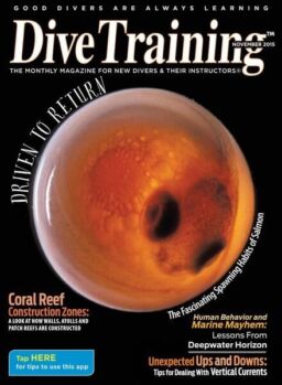 Dive Training – November 2015