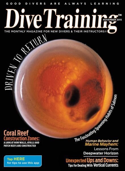 Dive Training – November 2015 Cover