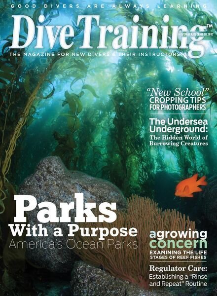 Dive Training – November 2017 Cover