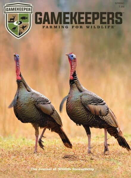 GameKeepers – March 2020 Cover