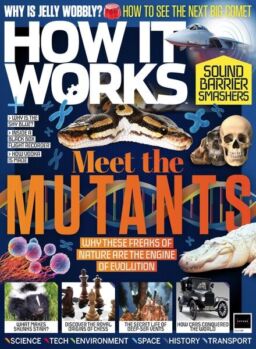 How It Works – 28 July 2022