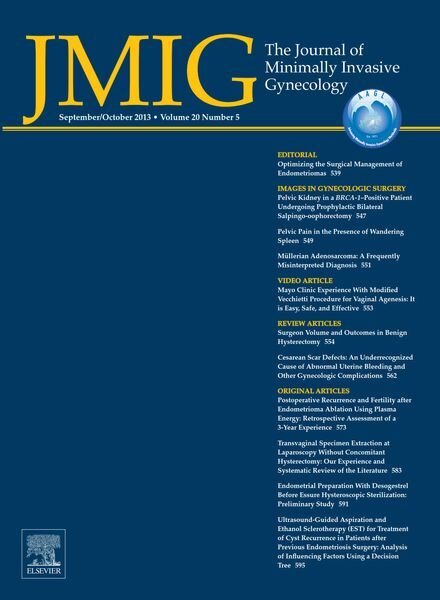 JMIG Journal of Minimally Invasive Gynecology – September 2013 Cover