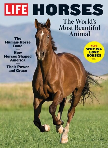 LIFE Horses – July 2022 Cover