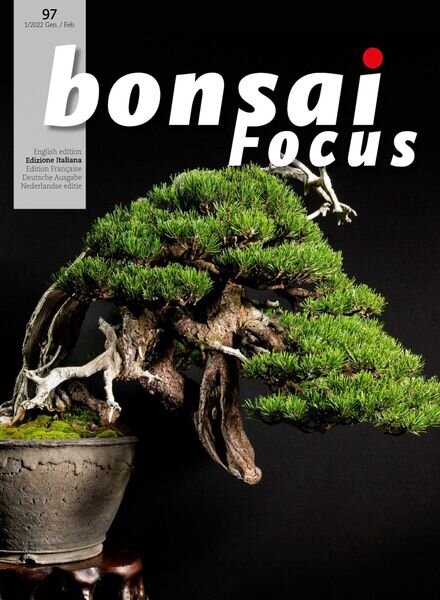 Bonsai Focus Edizione Italiana N97 – Gennaio-Febbraio 2022 Cover