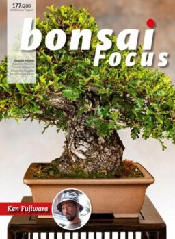 Bonsai Focus English Edition – July-August 2022