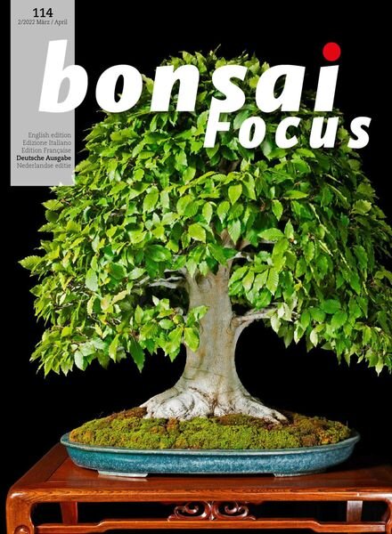 Bonsai Focus German Edition – Marz-April 2022 Cover