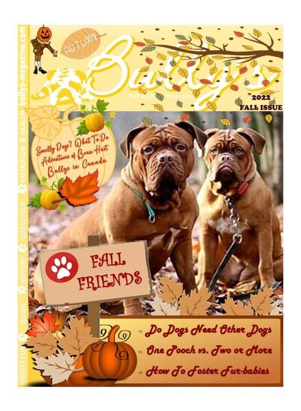 Bully’s The Bulldog Magazine – Fall 2022 Cover