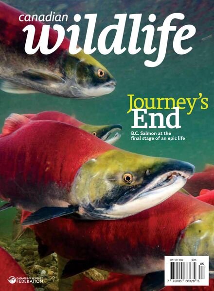 Canadian Wildlife – September-October 2022 Cover