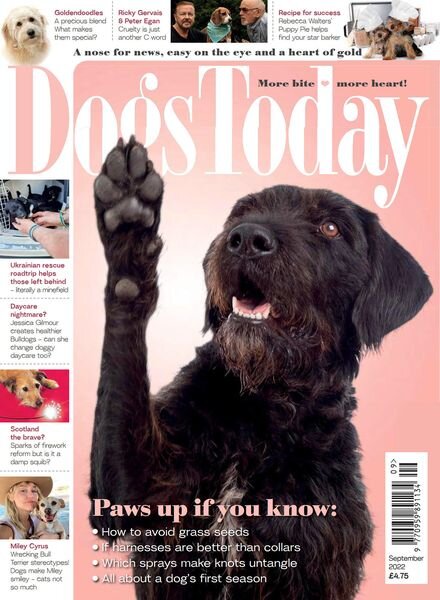 Dogs Today UK – September 2022 Cover