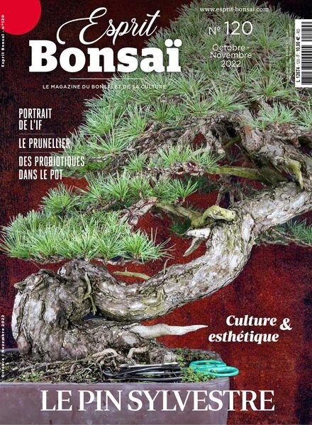 Esprit Bonsai – octobre 2022 Cover
