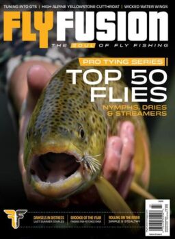 Fly Fusion – Fall 2022