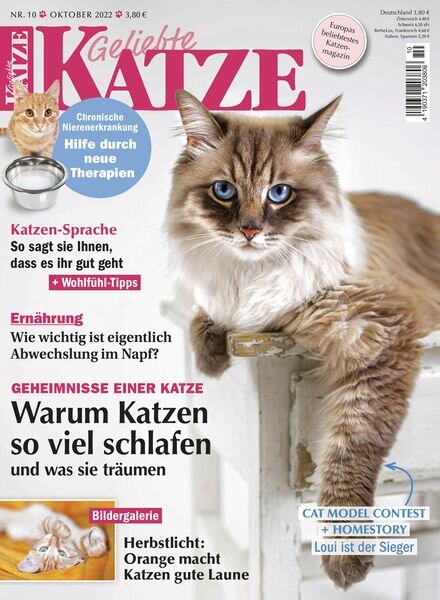 Geliebte Katze – Oktober 2022 Cover