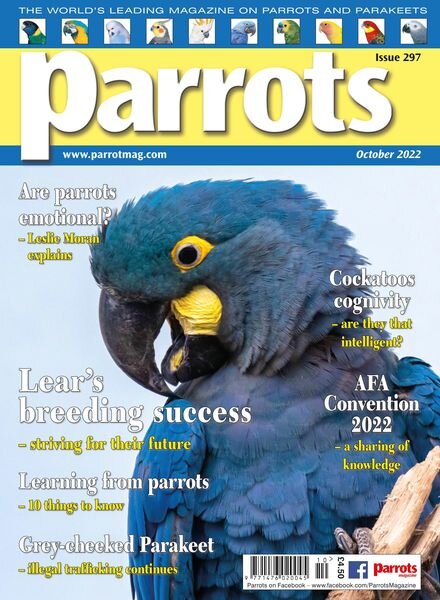 Parrots – October 2022 Cover