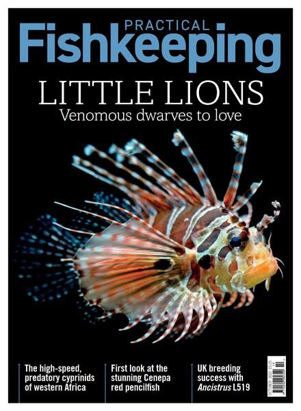 Practical Fishkeeping – October 2022 Cover