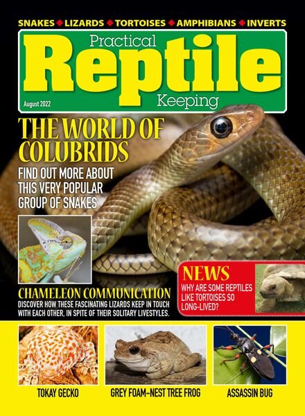 Practical Reptile Keeping – August 2022 Cover