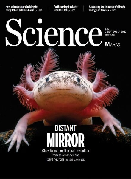 Science – 02 September 2022 Cover