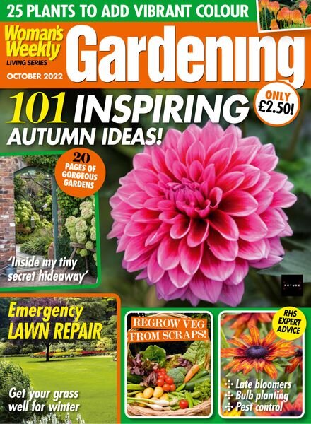 Woman’s Weekly Living Series – October 2022 Cover