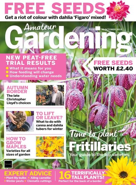 Amateur Gardening – 15 October 2022 Cover