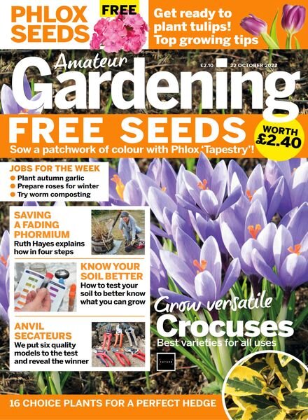 Amateur Gardening – 22 October 2022 Cover