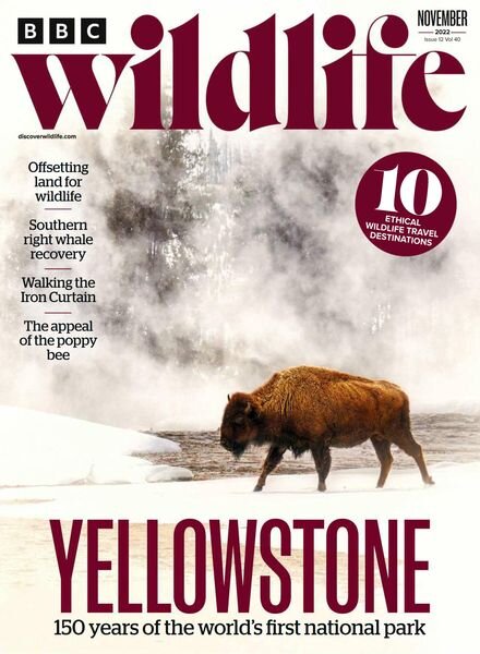 BBC Wildlife – November 2022 Cover