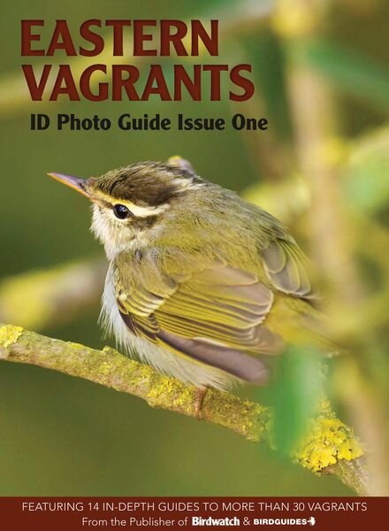 Bird ID Photo Guides – October 2022 Cover