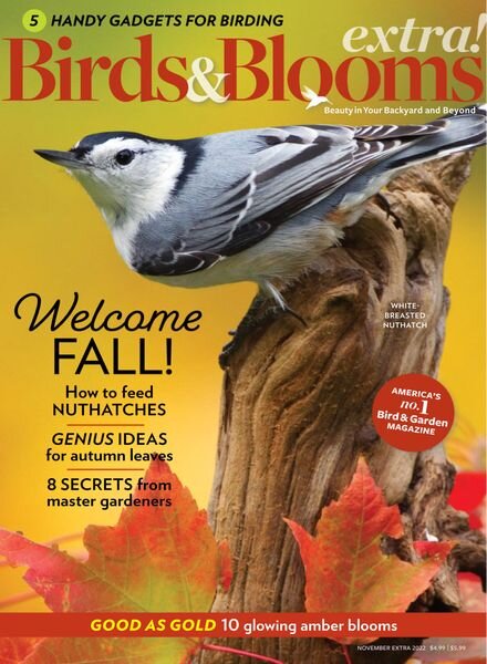 Birds and Blooms Extra – November 2022 Cover