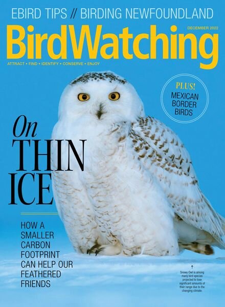 BirdWatching USA – November-December 2022 Cover