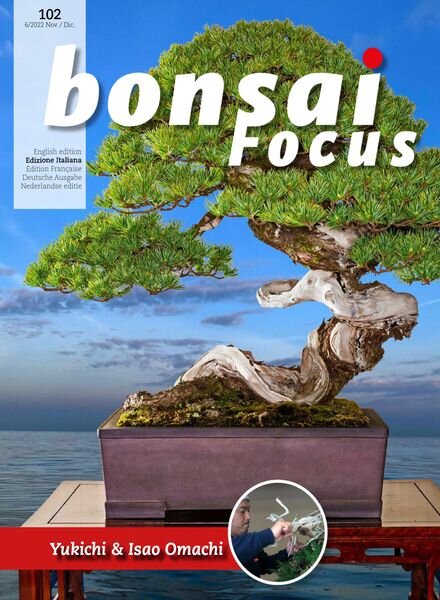 Bonsai Focus Italian Edition – novembre-dicembre 2022 Cover