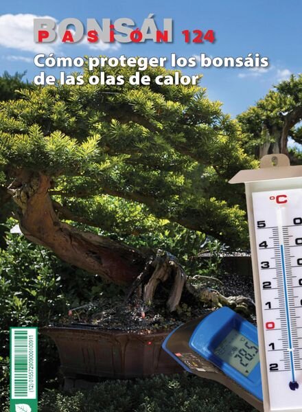Bonsai Pasion – octubre 2022 Cover