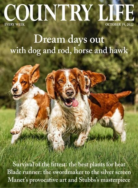 Country Life UK – October 19 2022 Cover