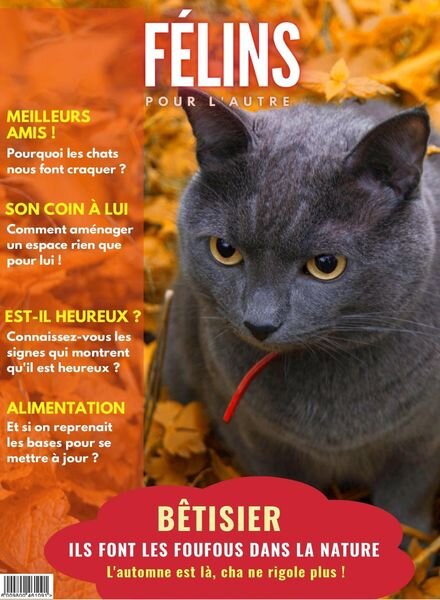 Felins pour l’autre – septembre 2022 Cover