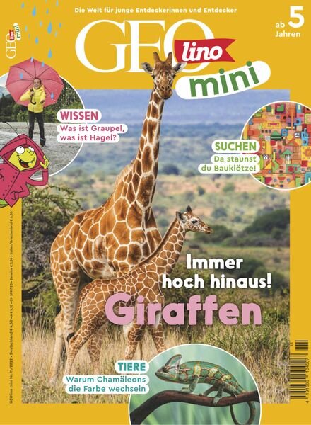 GEOmini – November 2022 Cover
