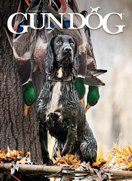 Gun Dog – November 2022 Cover