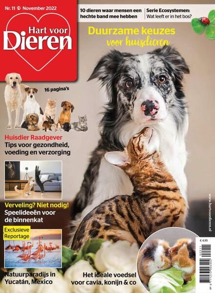 Hart voor Dieren – november 2022 Cover