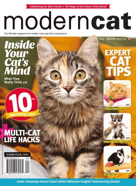 Modern Cat – November 2022 Cover