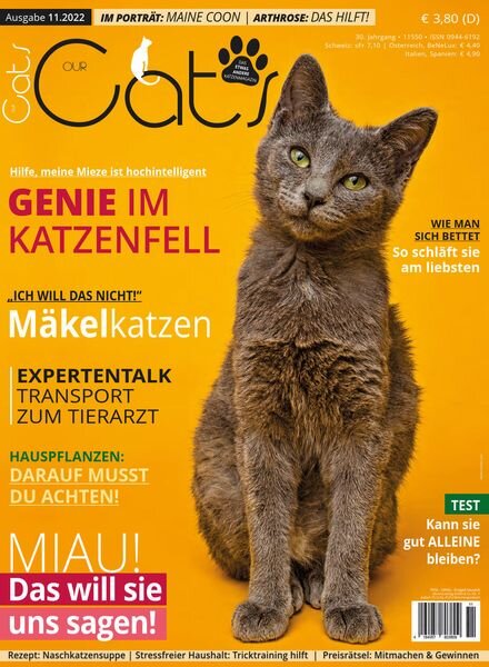 Our Cats – November 2022 Cover