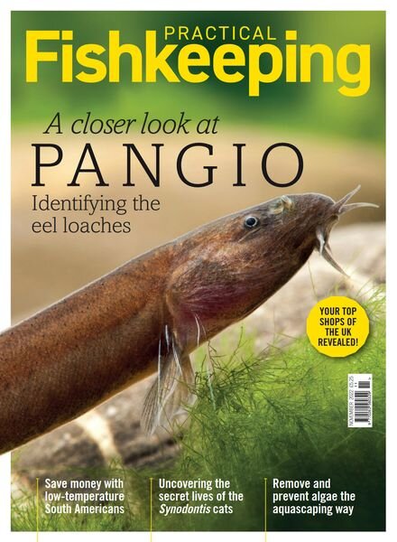 Practical Fishkeeping – November 2022 Cover