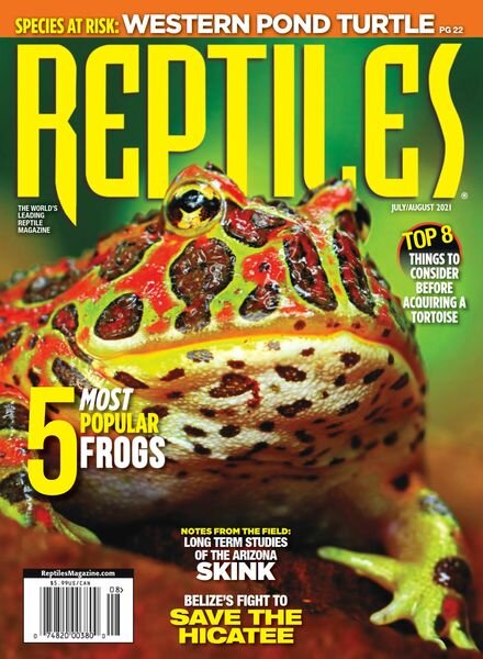 Reptiles – July-August 2021 Cover