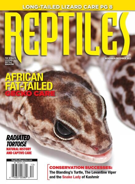 Reptiles – November 2022 Cover
