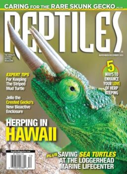 Reptiles – November-December 2021
