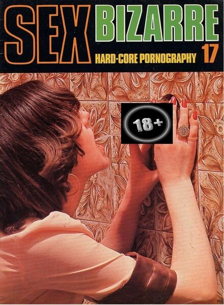 Sex Bizarre – N 17 Cover