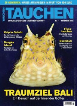 Tauchen – November 2022