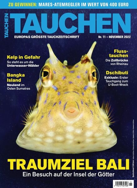 Tauchen – November 2022 Cover