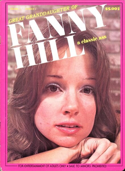 The Great Granddaughter of Fanny Hill – 1978 Cover