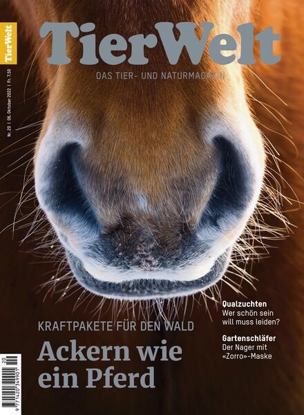 TierWelt – Oktober 2022 Cover