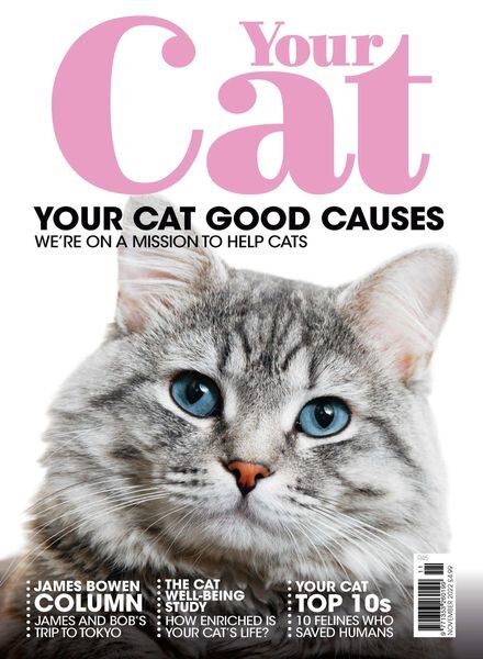 Your Cat – November 2022 Cover