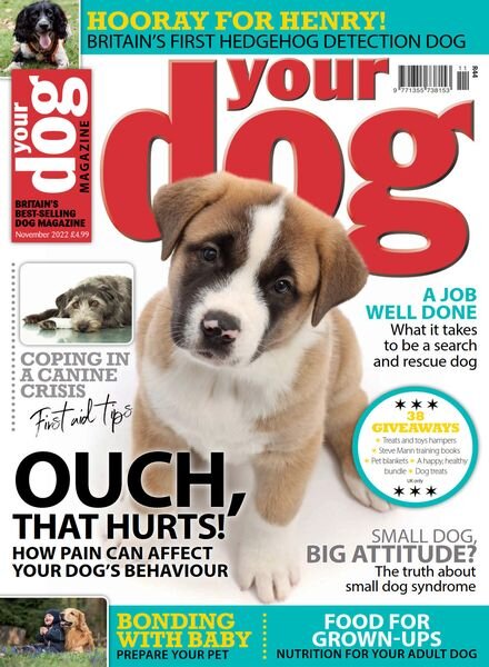 Your Dog – November 2022 Cover