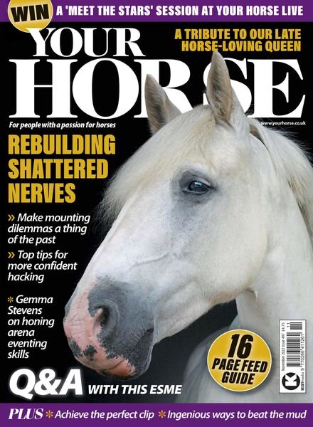 Your Horse – November 2022 Cover