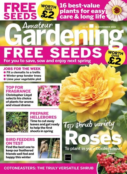Amateur Gardening – 19 November 2022 Cover