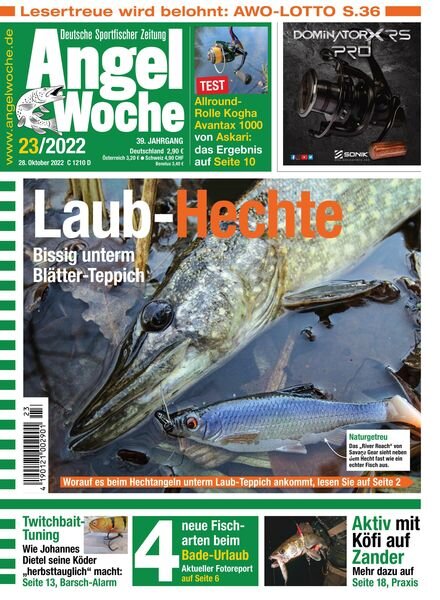 Angel Woche – 28 Oktober 2022 Cover
